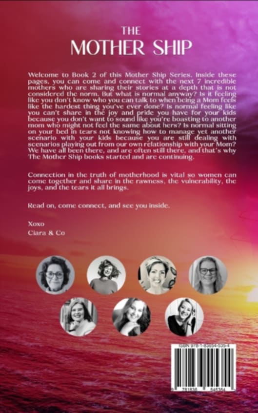 Product Bundle 3: My Pregnancy Journal + Monetise Your Message + The Mothership