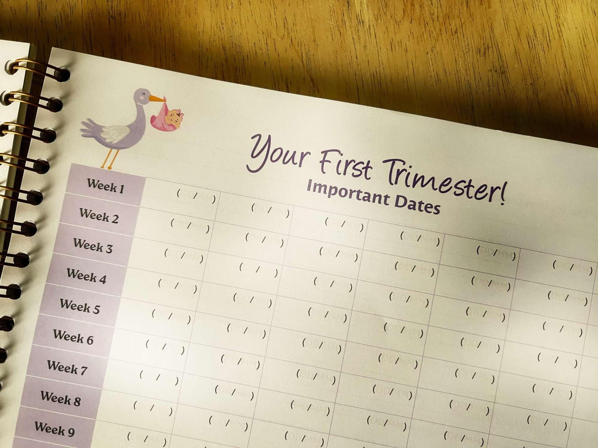 my pregnancy journal first trimester calendar