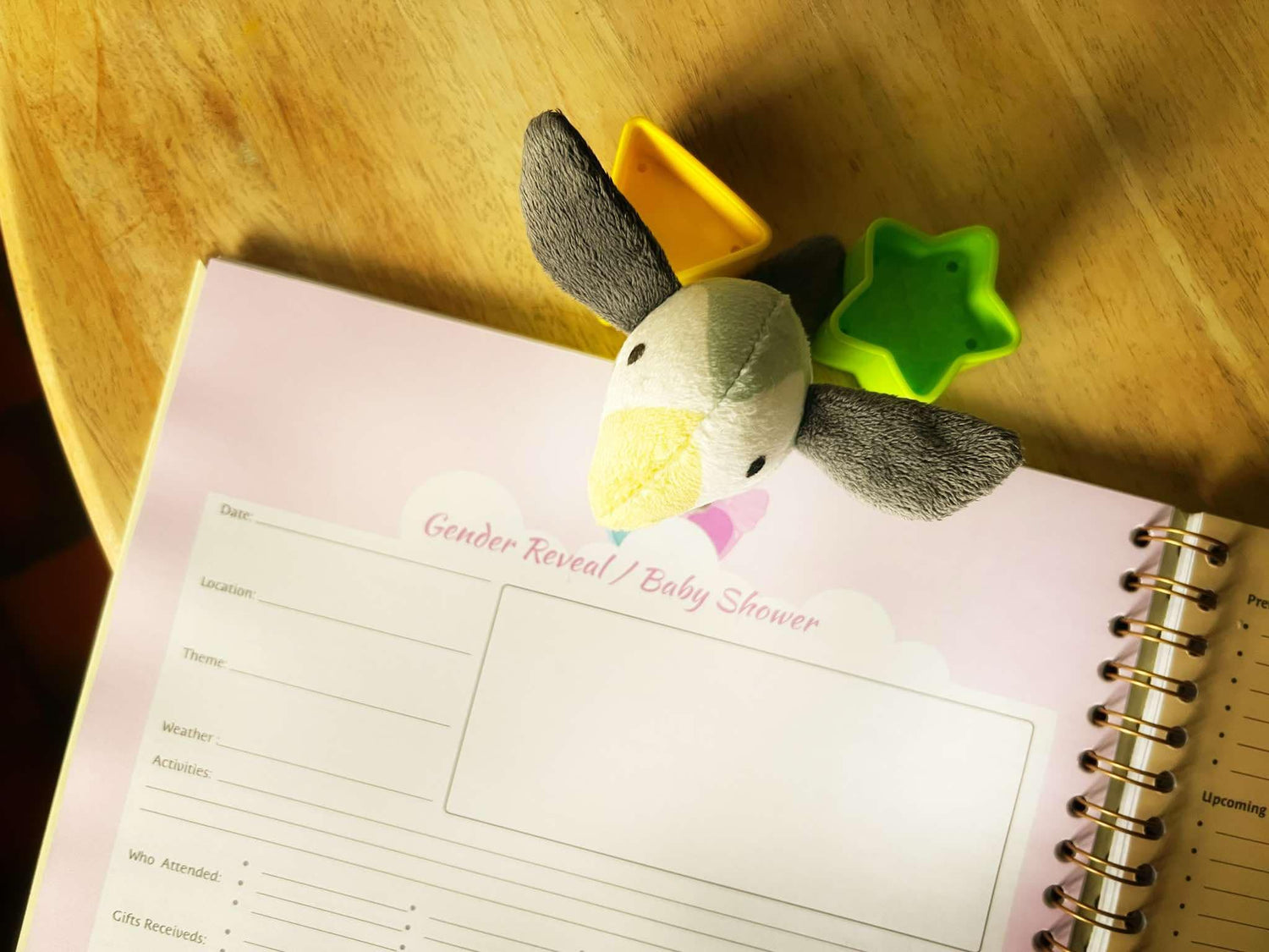 my pregnancy journal gender reveal page