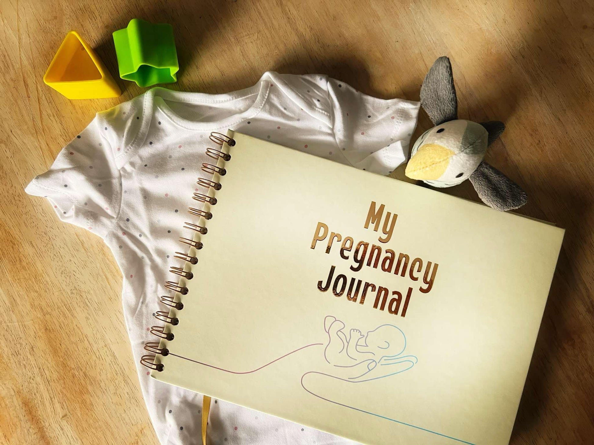 my pregnancy journal with baby vest